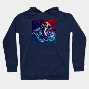 Galaxy Capricorn Hoodie